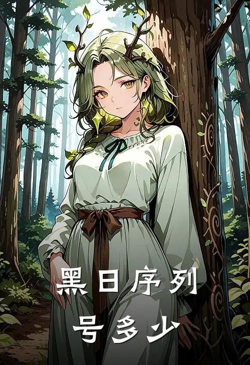 黑日序列号多少